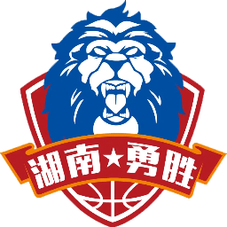 长沙勇胜logo